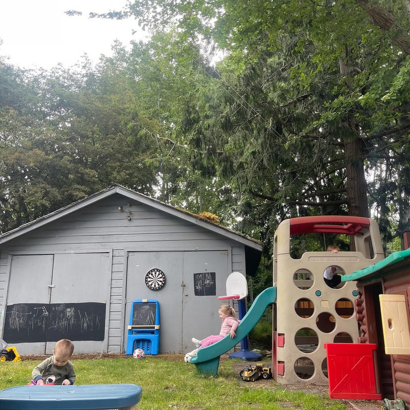 The backyard playhouse and climbing equipment